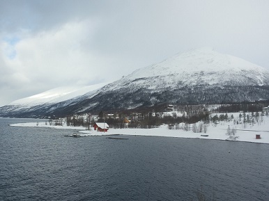 Nordmannvik