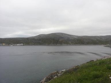 Dyfjord