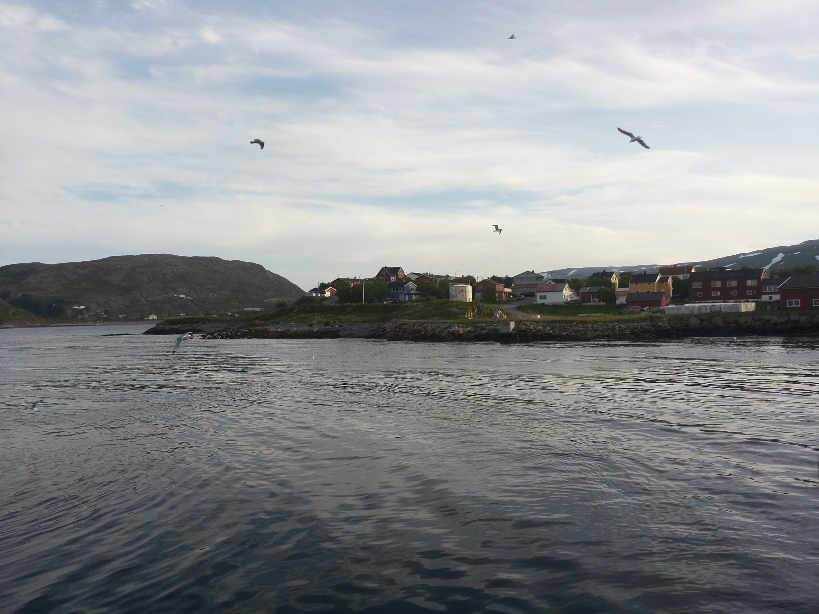 Båtsfjord1