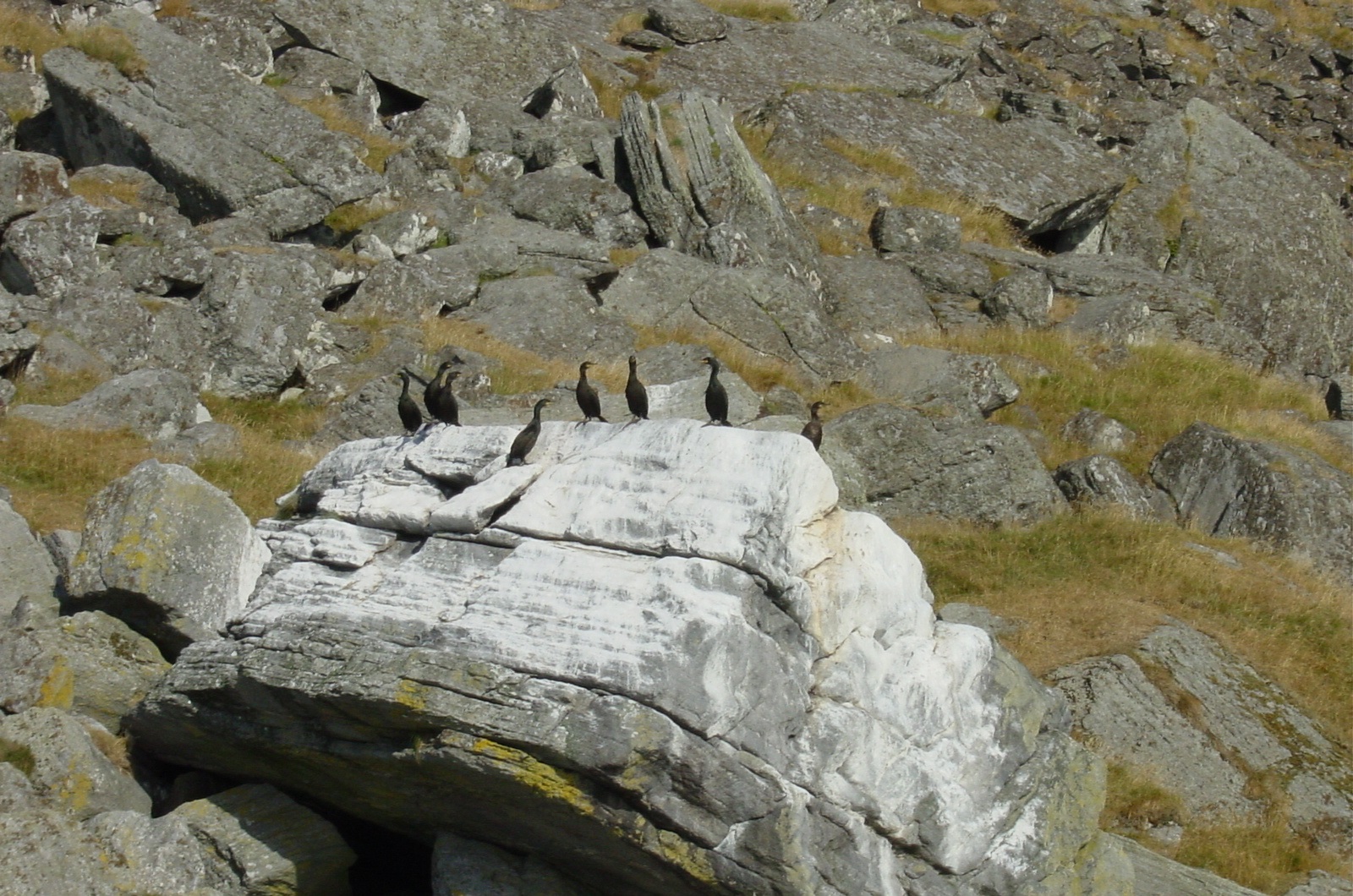 Storfjellet og Vedøya2